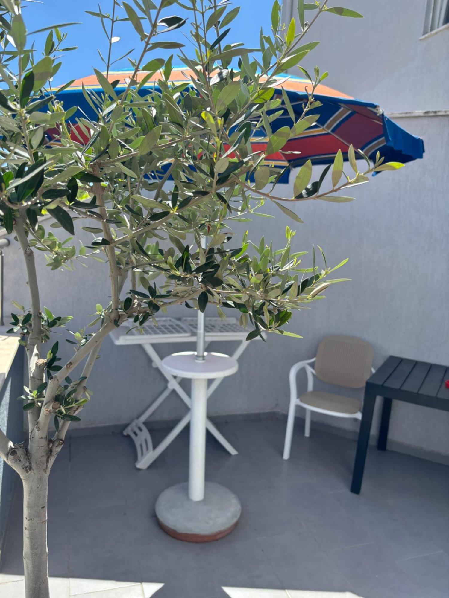 Apartament Kris In Durres Plazh エクステリア 写真